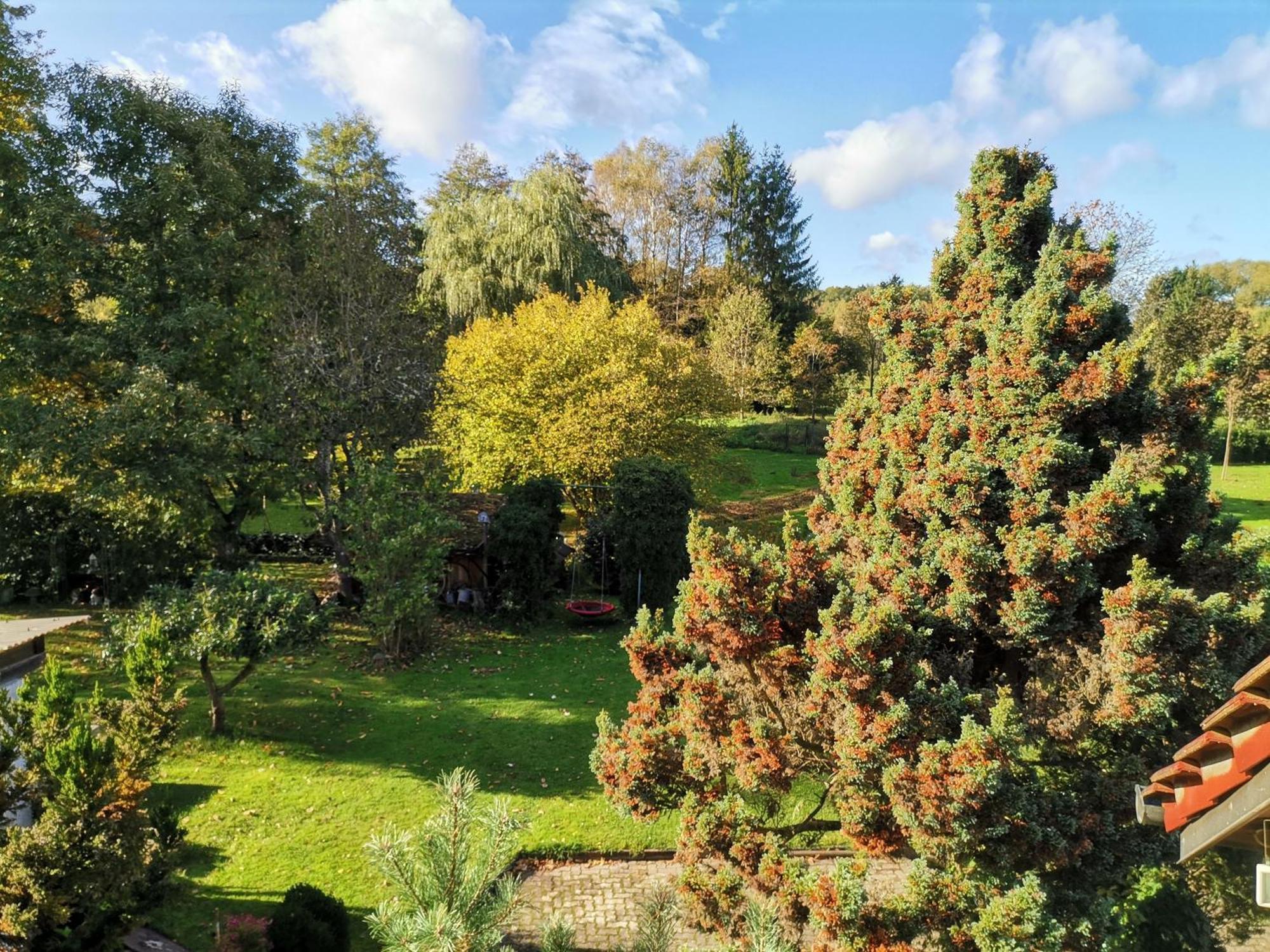Ferienwohnungen 'Blick Zur Madonna' Fischbach bei Dahn ภายนอก รูปภาพ